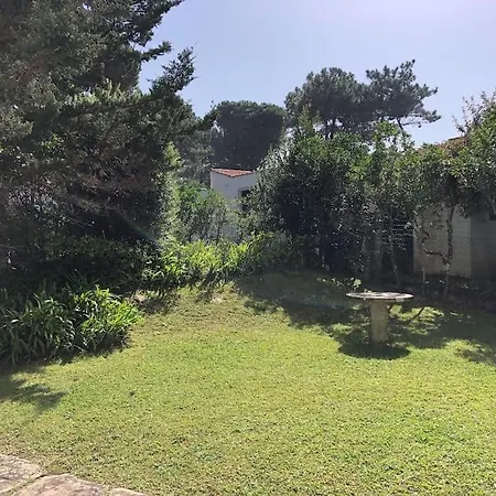 Villa Casa De Santo Antonio De Moledo *