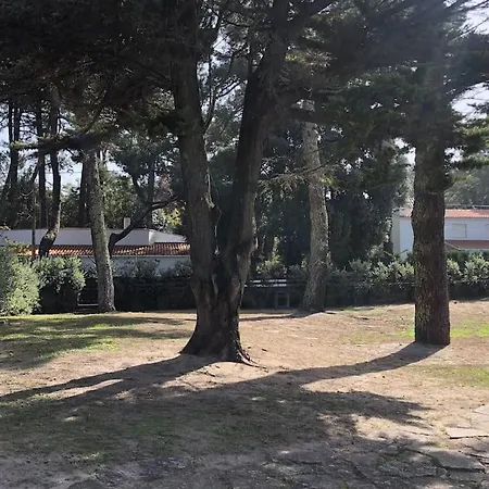 Willa Casa De Santo Antonio De Moledo Santana (Minho)